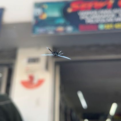 servicio de polarizado a domicilio servicio de polarizado a domicilio